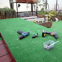 子犬の安全対策のインテリア実例 Roomclip ルームクリップ