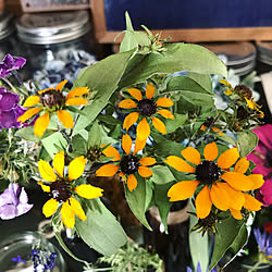 壁 天井 ケイトウシリカゲルドライ ドライフラワーコーナー シリカゲルドライフラワー作り ドライフラワーのある暮らし などのインテリア実例 18 08 02 11 13 07 Roomclip ルームクリップ