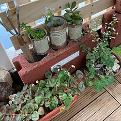 ベランダガーデン/すのこフェンス/手抜きリメ缶/多肉植物/カラミンサ...などのインテリア実例 - 2020-07-25 10:06:39