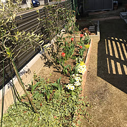 木枠 花壇 玄関 入り口 水色 Diy などのインテリア実例 18 04 22 17 48 33 Roomclip ルームクリップ 木枠 花壇 玄関 入り口 水色 Diy などのインテリア実例 18 04 22 17 48 33 Roomclip ルームクリップ