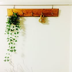 セリア ピクチャーレールのインテリア実例 Roomclip ルームクリップ セリア ピクチャーレールのインテリア実例 Roomclip ルームクリップ