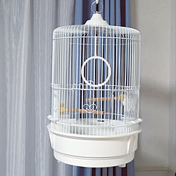 鳥かごスタンドのインテリア実例 Roomclip ルームクリップ