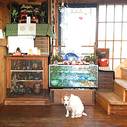 部屋全体/よろしくお願いいたします.。.:*♡/末っ子ヴィフฅˆ•ﻌ•ˆฅ♬*゜/戌年ʕ•̫͡•ʕ•̫͡•ʔ•̫͡•ʔ/DIY棚...などのインテリア実例 - 2018-01-08 12:47:44