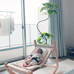 観葉植物のある暮らし/赤ちゃんのいる暮らし/ファルスカスクロールチェア/ウンベラータ/リビングダイニング...などのインテリア実例 - 2020-06-27 19:44:59
