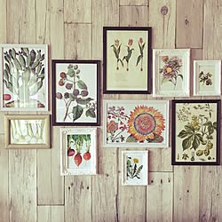 植物図鑑のインテリア実例 Roomclip ルームクリップ