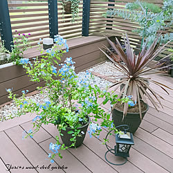 雨よけdiyのインテリア 手作りの実例 Roomclip ルームクリップ