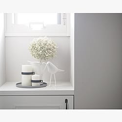 花瓶 アナベルのインテリア実例 Roomclip ルームクリップ