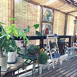 玄関/入り口/すだれ/一人暮らし/ペットと暮らす家/いつもいいねやコメありがとうございます♡...などのインテリア実例 - 2017-06-10 08:54:49