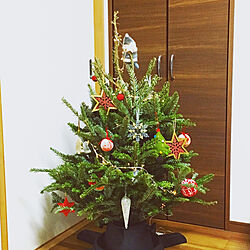 リビング/オーナメント/IKEA/もみの木/クリスマスツリーのインテリア実例 - 2018-12-26 21:16:06