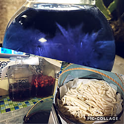酵素シロップ/いいねと、フォローの押し逃げすみません!/ストームグラス同好会/お気に入り/綺麗な一瞬...などのインテリア実例 - 2019-06-03 07:45:12