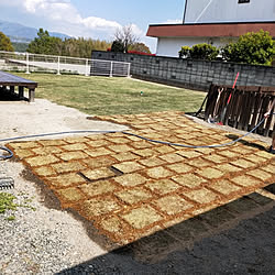部屋全体/芝生/DIY/庭/ウッドデッキ DIY...などのインテリア実例 - 2020-04-28 14:26:39