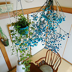 かすみ草色付けのインテリア実例 Roomclip ルームクリップ