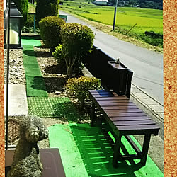 玄関/入り口/皆さまに感謝/いつもいいねやコメありがとうございます♡/RCの出会いに感謝♡/ベンチ DIY...などのインテリア実例 - 2017-09-02 18:57:31