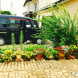 セキチューのインテリア実例 Roomclip ルームクリップ