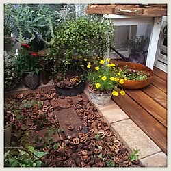 玄関/入り口/ガーデン雑貨/natural/リノベーション/cafe風...などのインテリア実例 - 2014-10-04 17:24:31