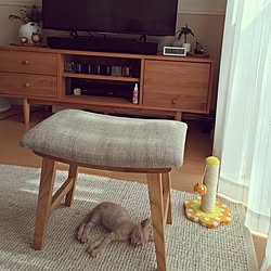 テレビ目隠し布のインテリア実例 Roomclip ルームクリップ テレビ目隠し布のインテリア実例 Roomclip ルームクリップ