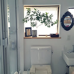 バス/トイレ/トイレ/絵画のある部屋/古家を買ってリノベーション/古家DIY...などのインテリア実例 - 2019-06-23 23:23:08