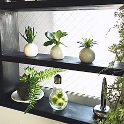 ダイソー 苔玉吊るしフェイクのインテリア実例 Roomclip ルームクリップ ダイソー 苔玉吊るしフェイクのインテリア実例 Roomclip ルームクリップ