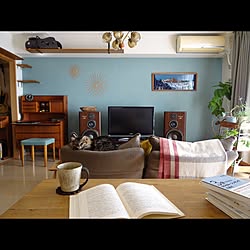 リビング/ねこ/ねこと暮らす。/ねこのいる日常/北欧ヴィンテージ家具...などのインテリア実例 - 2016-11-14 18:54:49