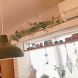 幸せボンビーガール 森泉ちゃんの空き家再生コーナー 青山のお店 3600色はその場で調合するそうです Benjamin Moore などのインテリア実例 02 23 01 17 37 Roomclip ルームクリップ