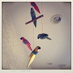 鳥 壁紙のインテリア実例 Roomclip ルームクリップ 鳥 壁紙のインテリア実例 Roomclip ルームクリップ