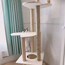 流木キャットタワーのインテリア実例 Roomclip ルームクリップ 流木キャットタワーのインテリア実例 Roomclip ルームクリップ