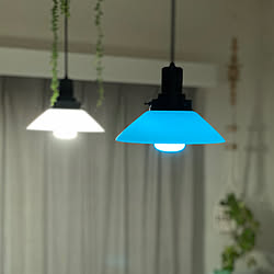 ペンダントライト/Hue Bluetooth/Philips Hue/スマートホーム/照明...などのインテリア実例 - 2020-04-21 22:45:58