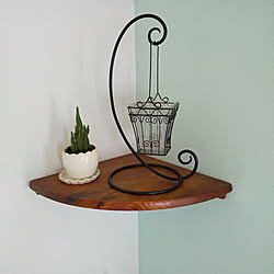 ミントグリーンの壁紙のインテリア実例 Roomclip ルームクリップ