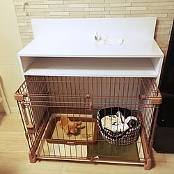 カインズホーム ケージのインテリア実例 Roomclip ルームクリップ カインズホーム ケージのインテリア実例 Roomclip ルームクリップ