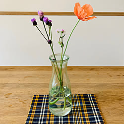 ハルジオンのインテリア実例 Roomclip ルームクリップ