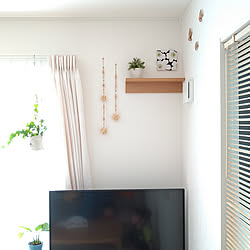 壁/天井/普通の家/ハンギングプランター/こどものいる暮らし/こどもと暮らす...などのインテリア実例 - 2020-05-30 23:57:30