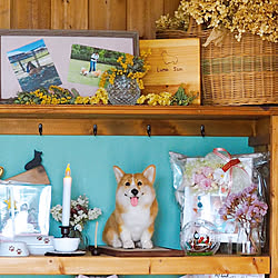 100均 リビング Diy ダイソー フェイクグリーンのインテリア実例 17 04 26 00 44 33 Roomclip ルームクリップ