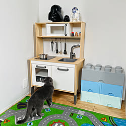 Ikea レゴ収納のインテリア実例 Roomclip ルームクリップ