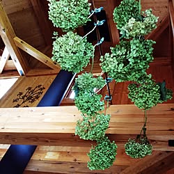 壁/天井/薪ストーブの煙突+..・*/薪ストーブ/木の御家*人に優しい家/紫陽花ぶらぶらドライ作り+..・* ❁...などのインテリア実例 - 2015-07-16 17:21:15