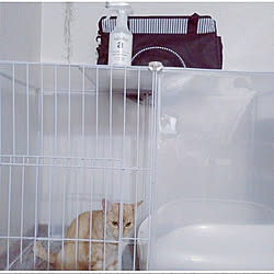 猫砂収納のインテリア実例 Roomclip ルームクリップ