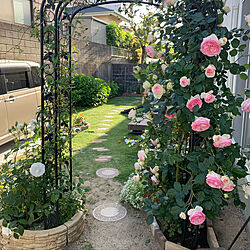 花のある生活/アーチのある庭❁/バラ大好き♡/花のある暮らし/玄関/入り口のインテリア実例 - 2020-05-16 22:36:19