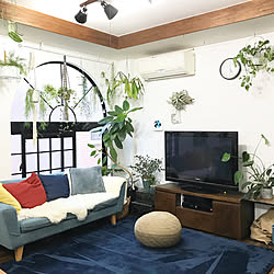 リビング/植物/観葉植物/植物のある暮らし/ベルメゾン・コーディネートモニター...などのインテリア実例 - 2018-10-13 17:38:43