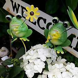 バス/トイレ/花のある暮らし/NO GREEN NO LIFE/ガーデニング/ガーデン...などのインテリア実例 - 2020-04-20 12:57:08