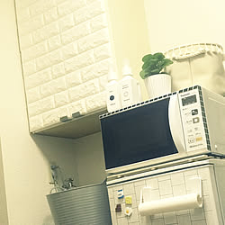 100均/ダイソー/1人暮らし 賃貸/観葉植物/狭い部屋...などのインテリア実例 - 2018-03-16 05:37:15