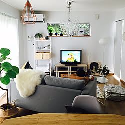 部屋全体/グレーインテリア/ニトリのフェイクグリーン/新築/海外インテリアに憧れる...などのインテリア実例 - 2017-08-19 08:52:00