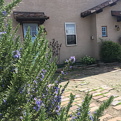 生垣はローズマリーのインテリア実例 Roomclip ルームクリップ