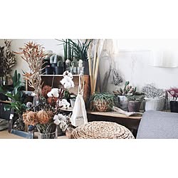 ドライフラワー 彼岸花のおしゃれなアレンジ 飾り方のインテリア実例 Roomclip ルームクリップ