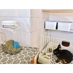ペットフードの収納のインテリア実例 Roomclip ルームクリップ