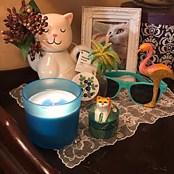 猫ちゃま系/猫ちゃまポット/サングラス/昨日は病院の日/息子ちゃまが撮ったりゅうちゃんpic...などのインテリア実例 - 2019-08-04 12:48:30