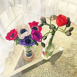 花瓶 ポピーのインテリア実例 Roomclip ルームクリップ