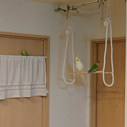 犬と鳥のケージもinのインテリア実例 Roomclip ルームクリップ
