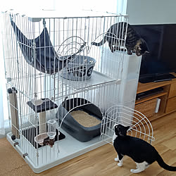 猫砂収納のインテリア実例 Roomclip ルームクリップ