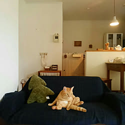 部屋全体/RCとちぎ苺の会/ほっこり*/ナチュラル/ナチュラルインテリア...などのインテリア実例 - 2019-07-27 07:13:45