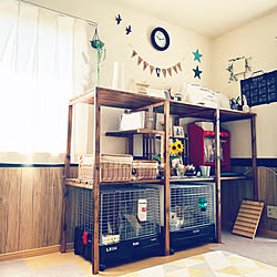 スリムトローリー応募/スリムトローリー/山善/うさぎと暮らす☆/うさぎと暮らす...などのインテリア実例 - 2019-08-07 10:43:39