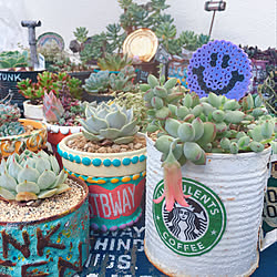 駅弁のインテリア実例 Roomclip ルームクリップ